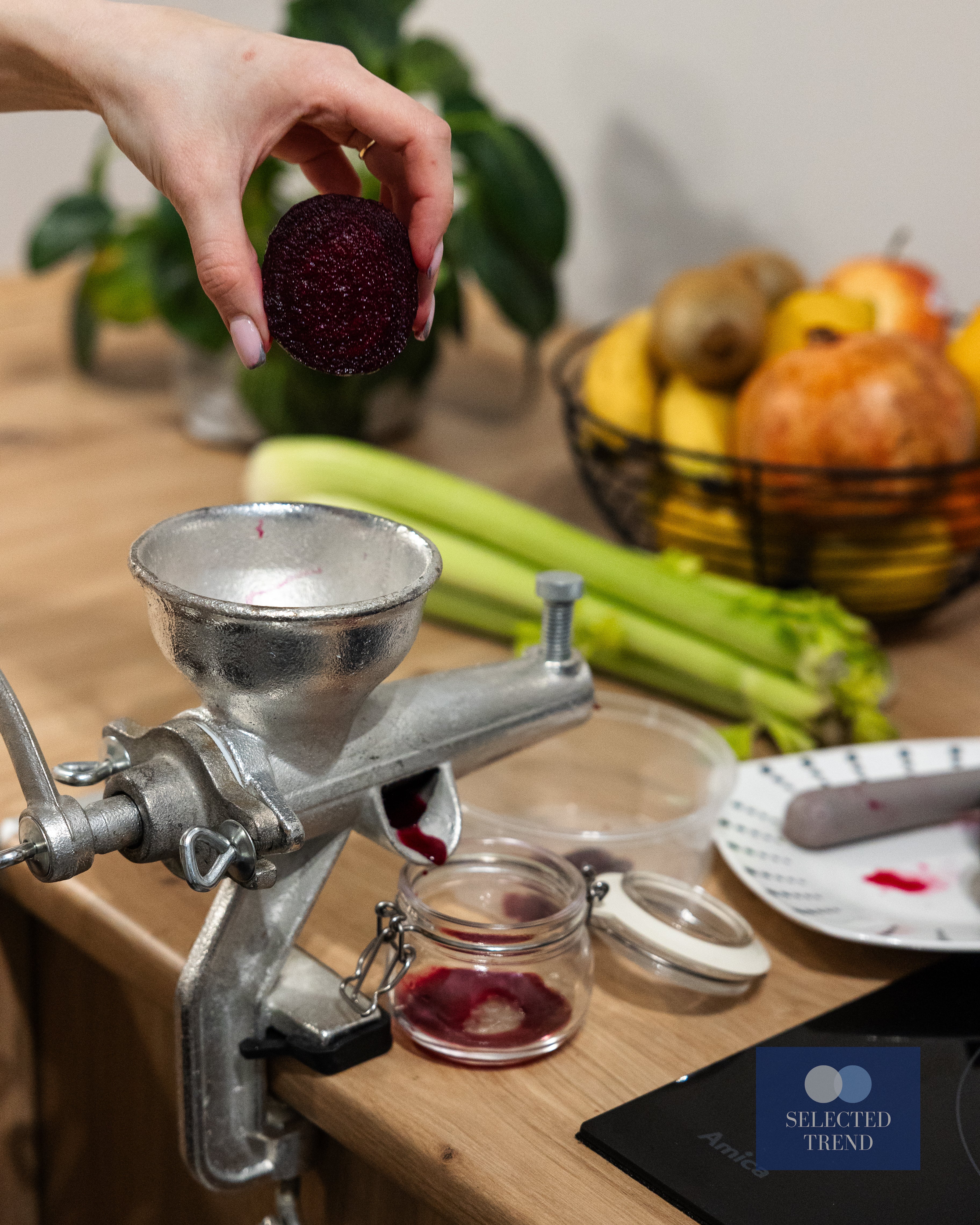 Vegetable Juicer