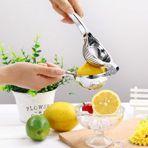 Fruit and Lemon Juicer