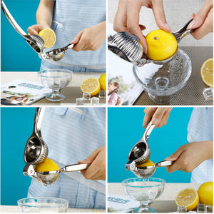 Fruit and Lemon Juicer
