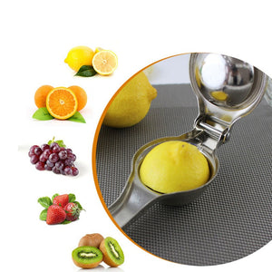 Lemon and Fruit Juicer